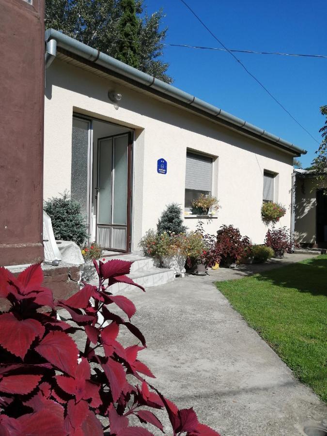 נובי סאד Green Apartment מראה חיצוני תמונה