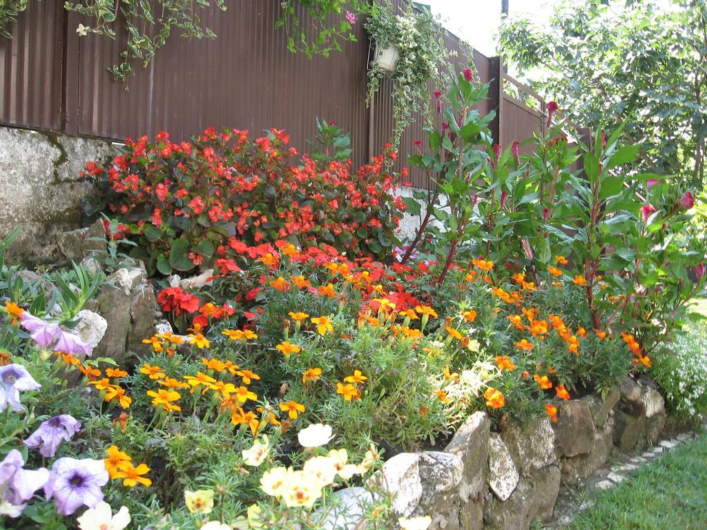 נובי סאד Green Apartment מראה חיצוני תמונה