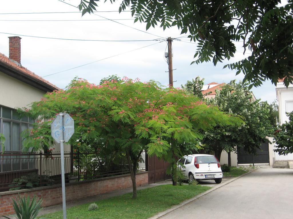 נובי סאד Green Apartment מראה חיצוני תמונה