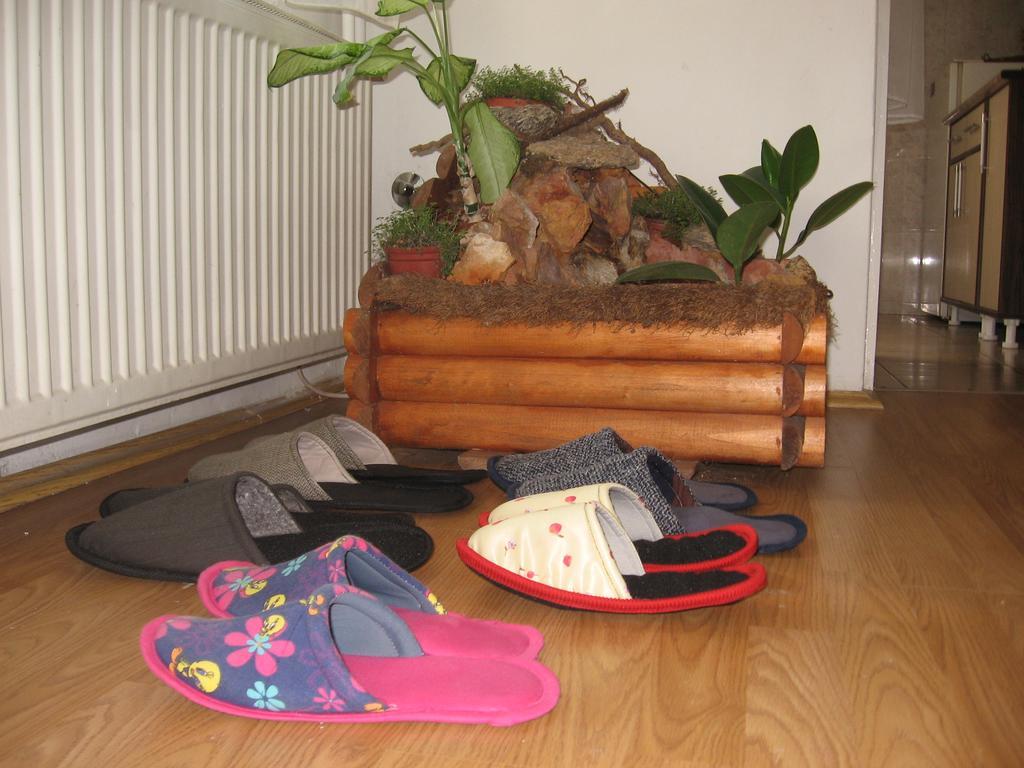 נובי סאד Green Apartment מראה חיצוני תמונה