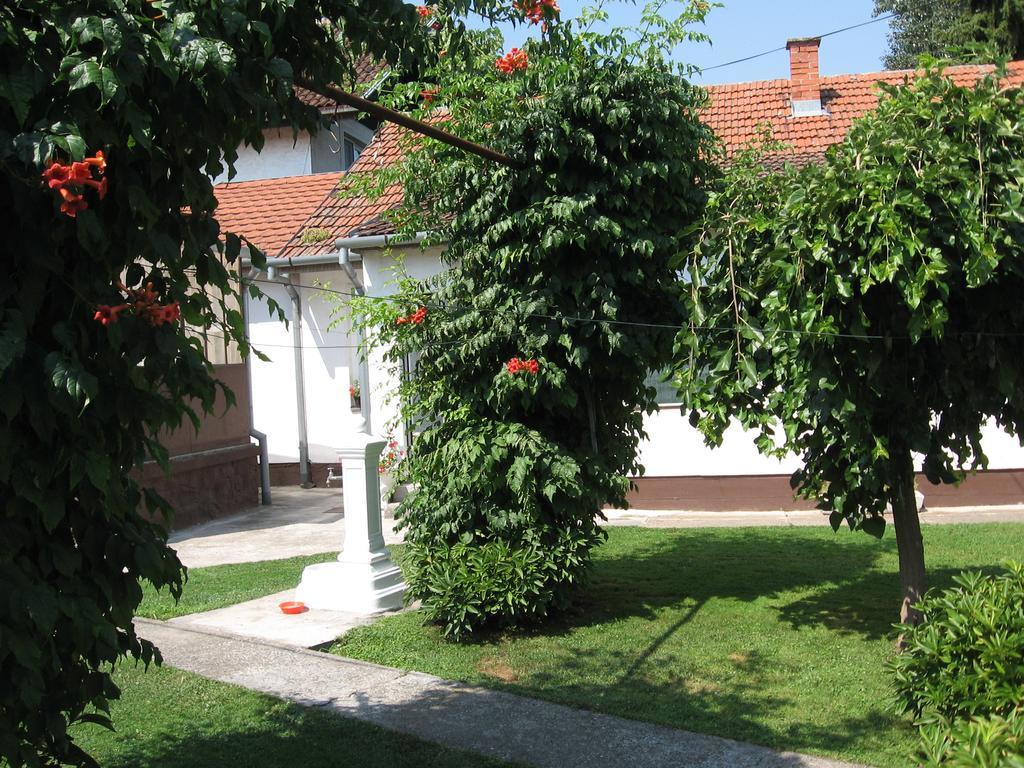 נובי סאד Green Apartment מראה חיצוני תמונה