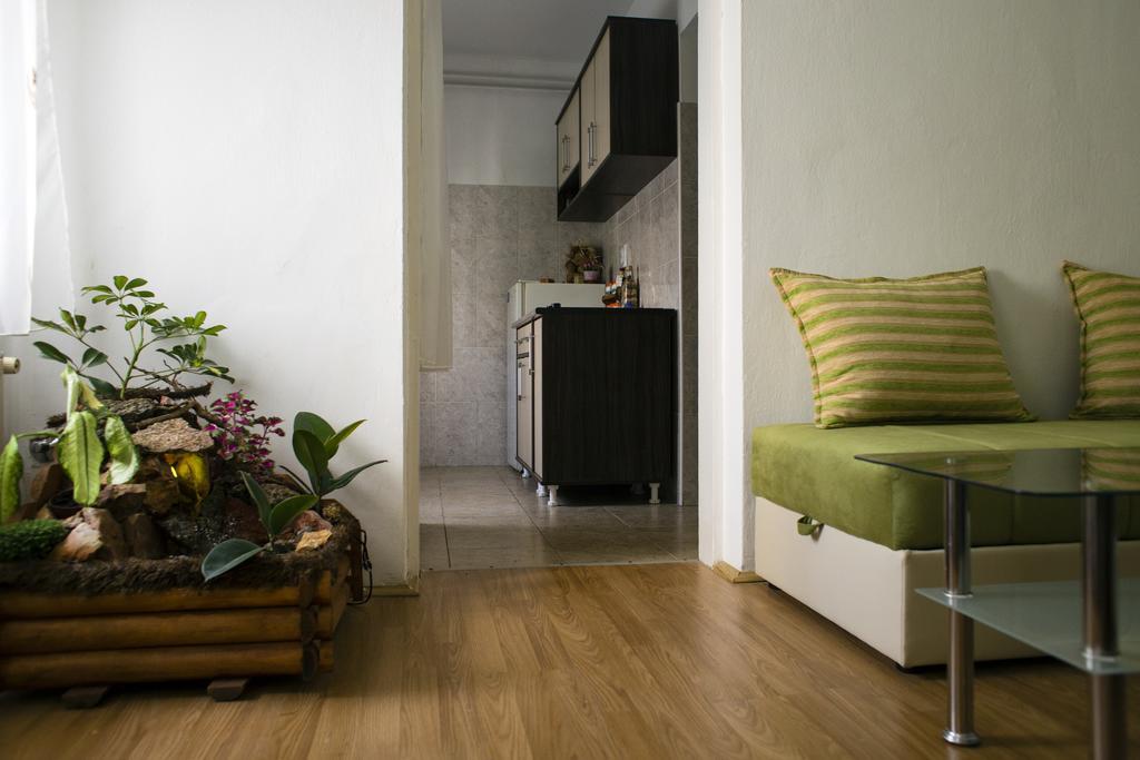 נובי סאד Green Apartment מראה חיצוני תמונה
